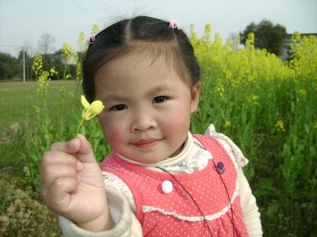 小黄花